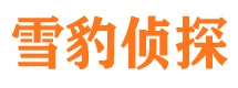 定日市私家侦探